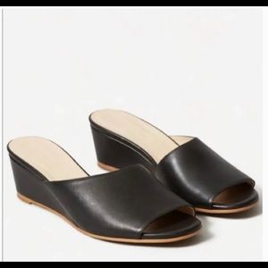 NEW- Everlane Leather Wedge Sandal